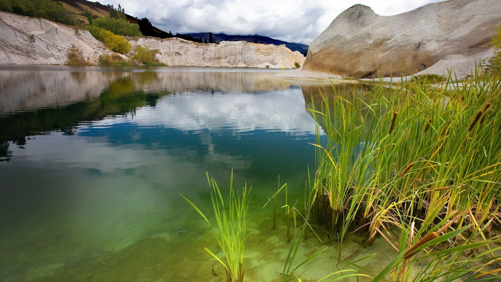 Зеленая вода