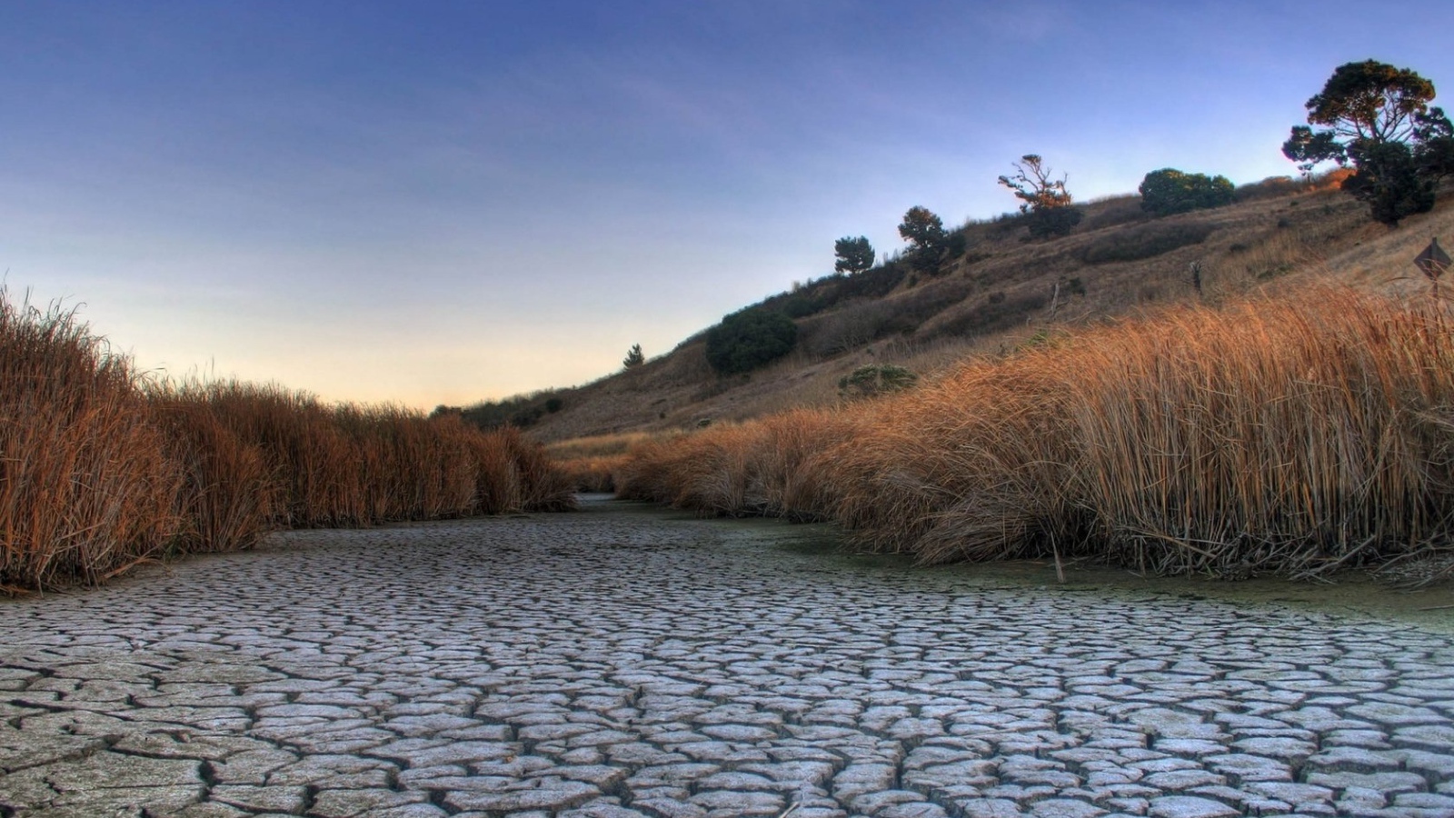 Высохшее русло