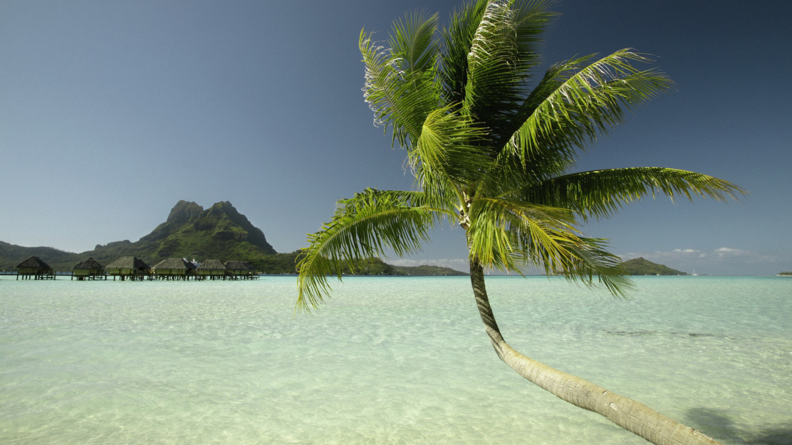 Paradise islands