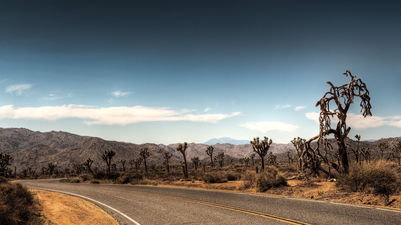 Дорога в пустыне