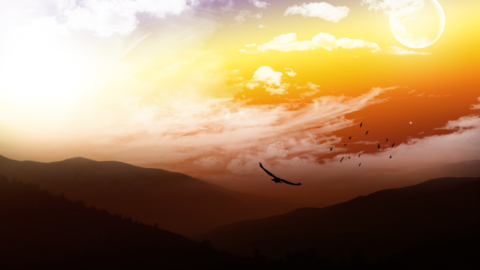 На высоте птичьего полета