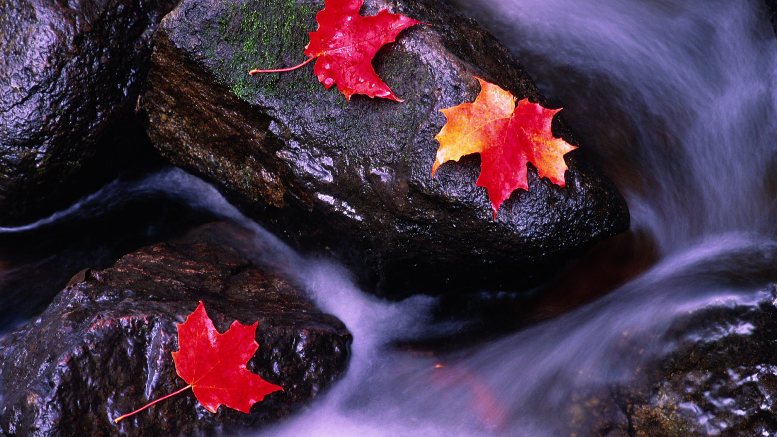 Реки Канады