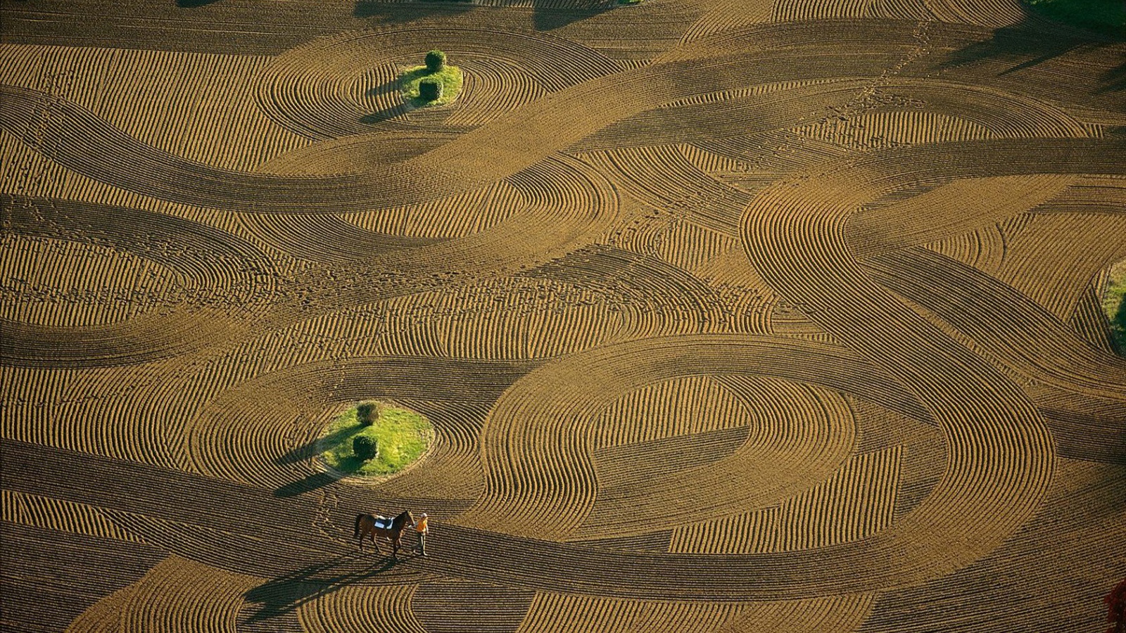 Лошадиная арена Франция