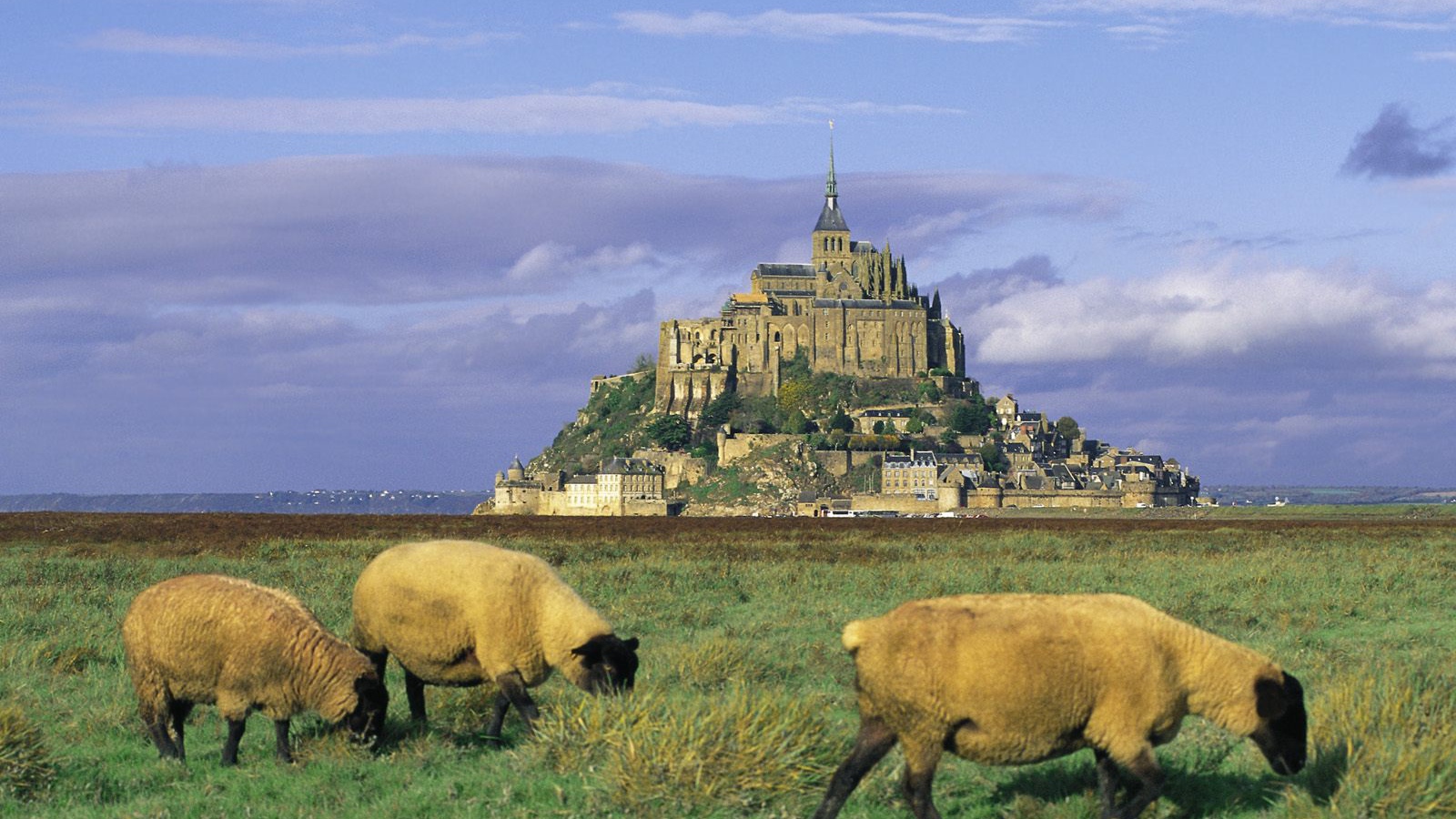 Огромный французский замок