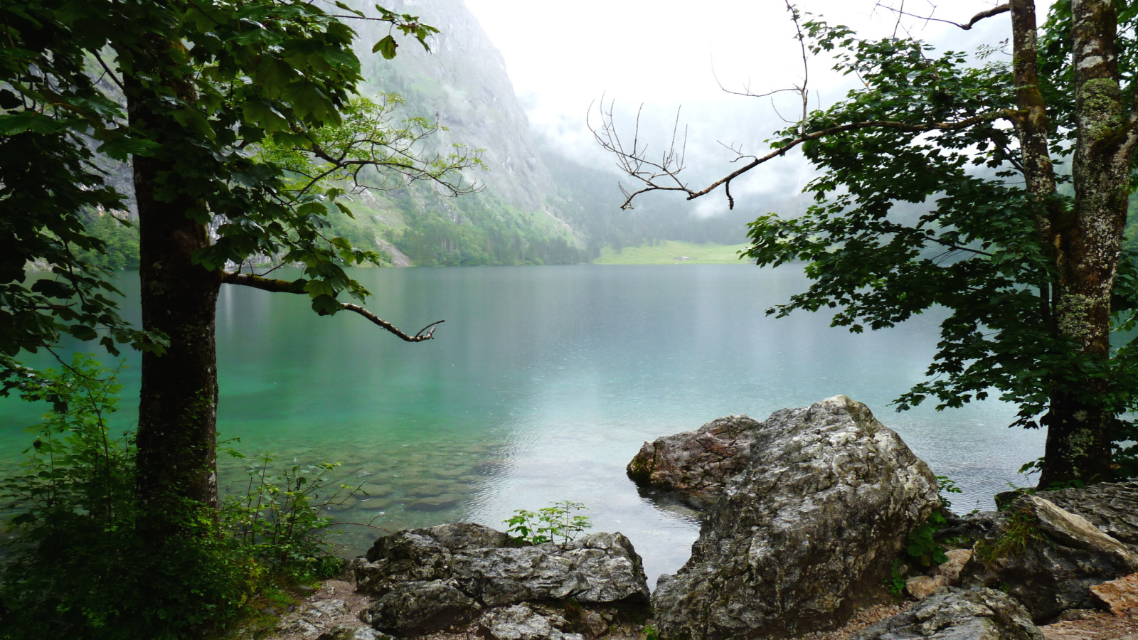 Природа Баварии