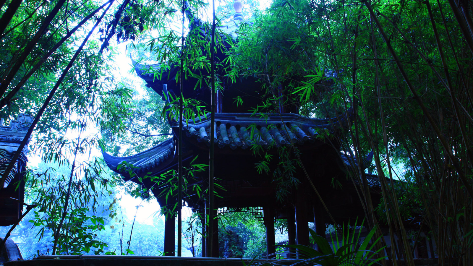 В японском саду