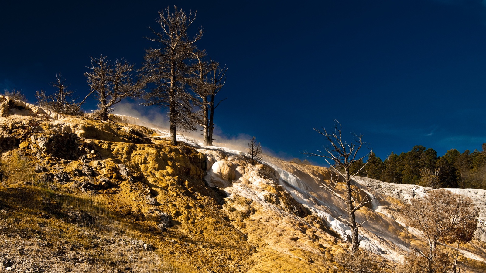 Природа в Йеллоустоуне США