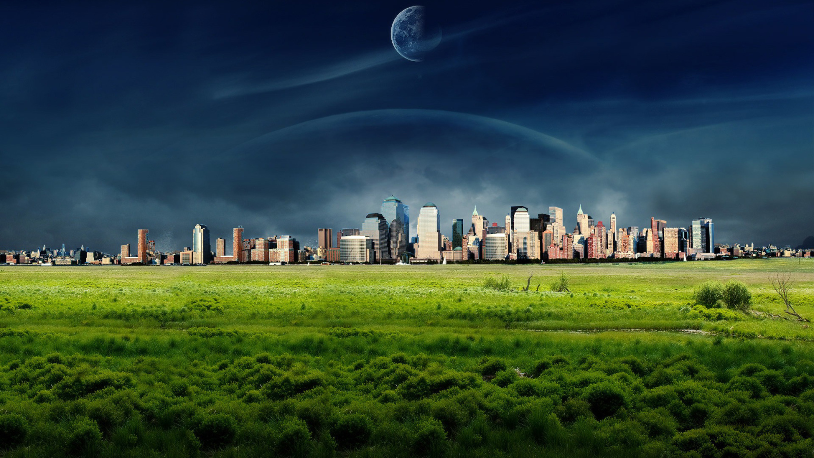 Большой город