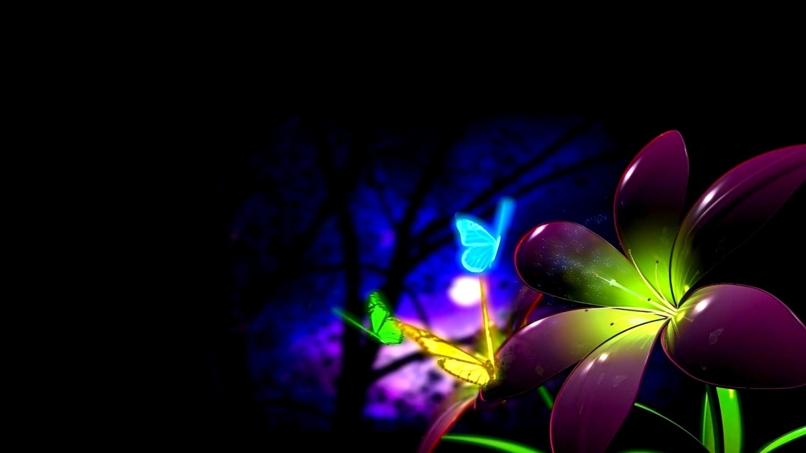 Цветок и бабочки в ночи