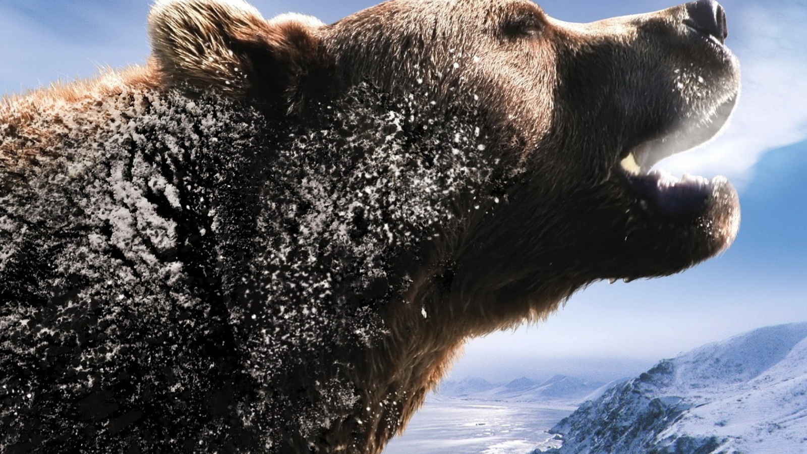 Рычащий медведь