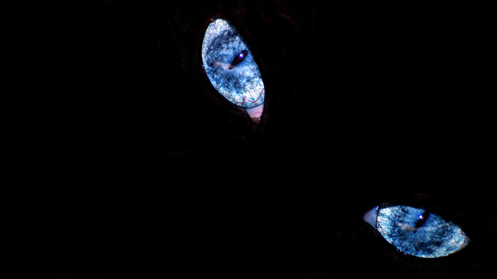 Эти глаза напротив