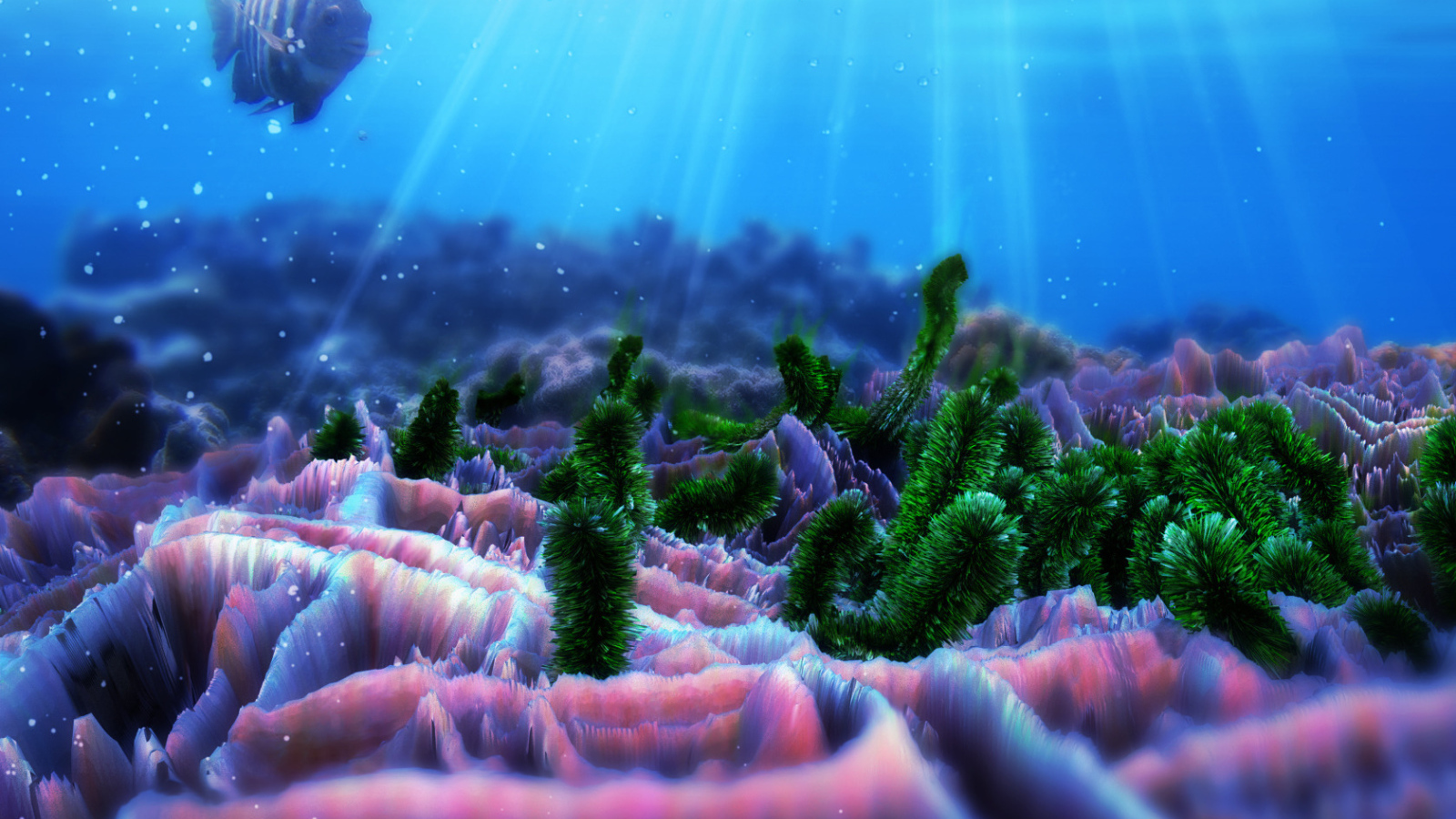 Жители морского дна