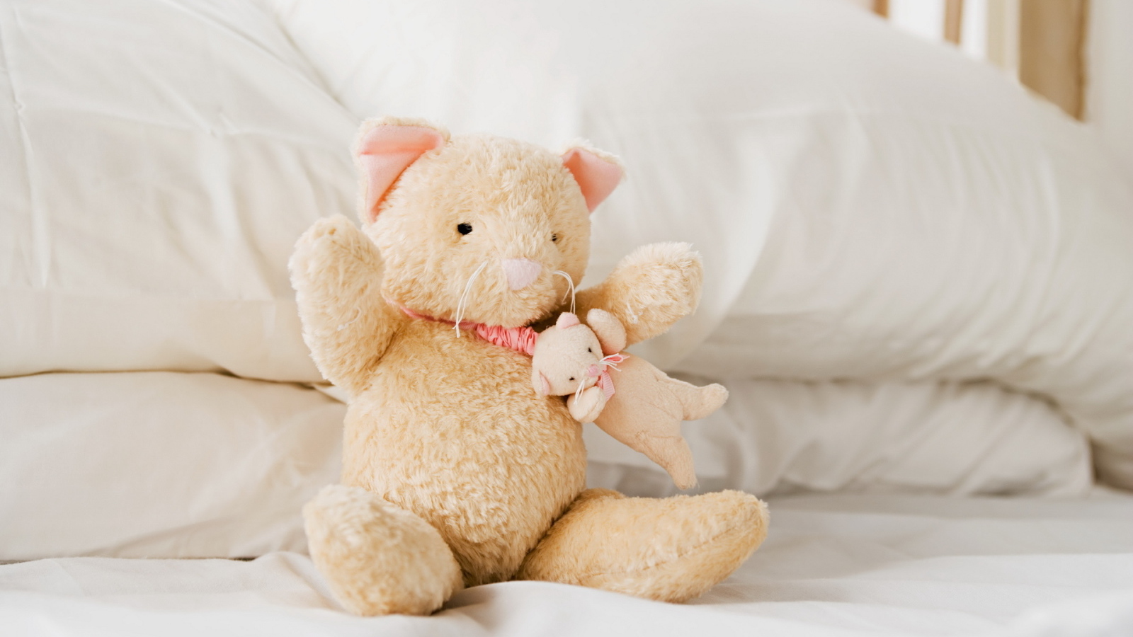 Плюшевые кошка и мышка