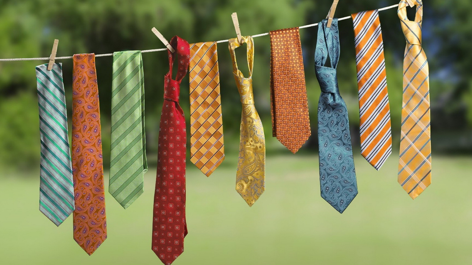 Галстуки на просушке