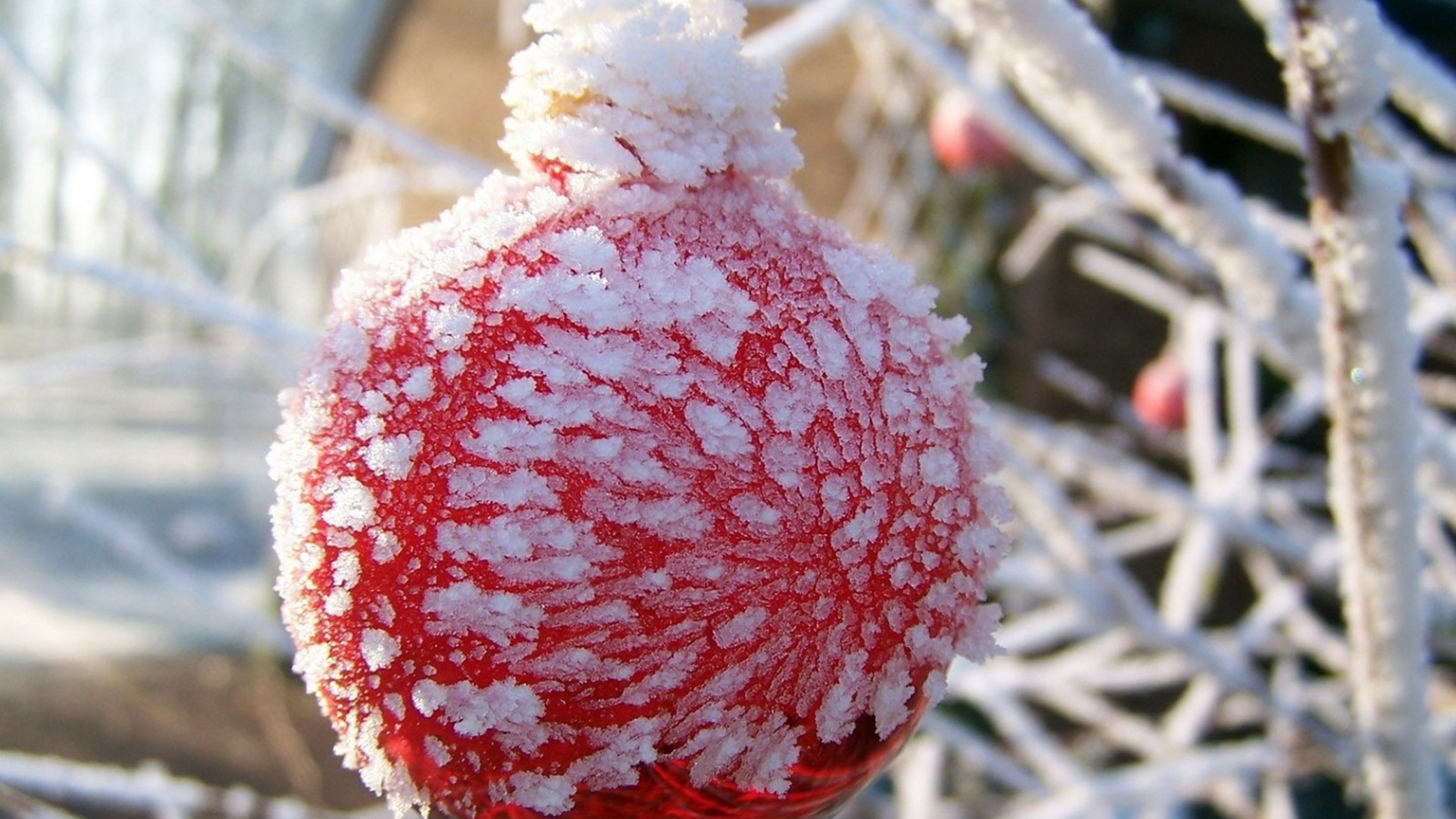 Оледеневший шар