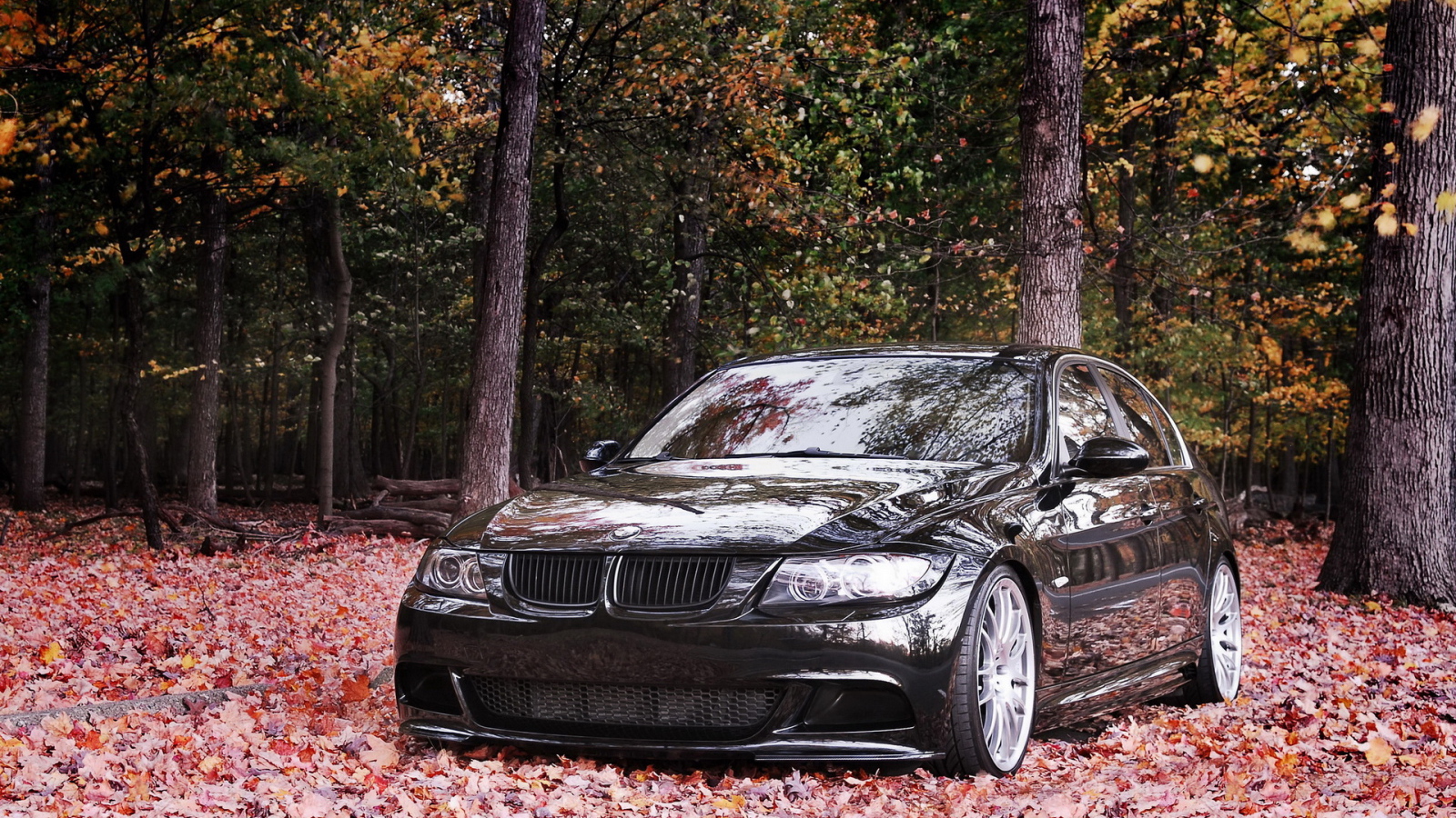 BMW 335i