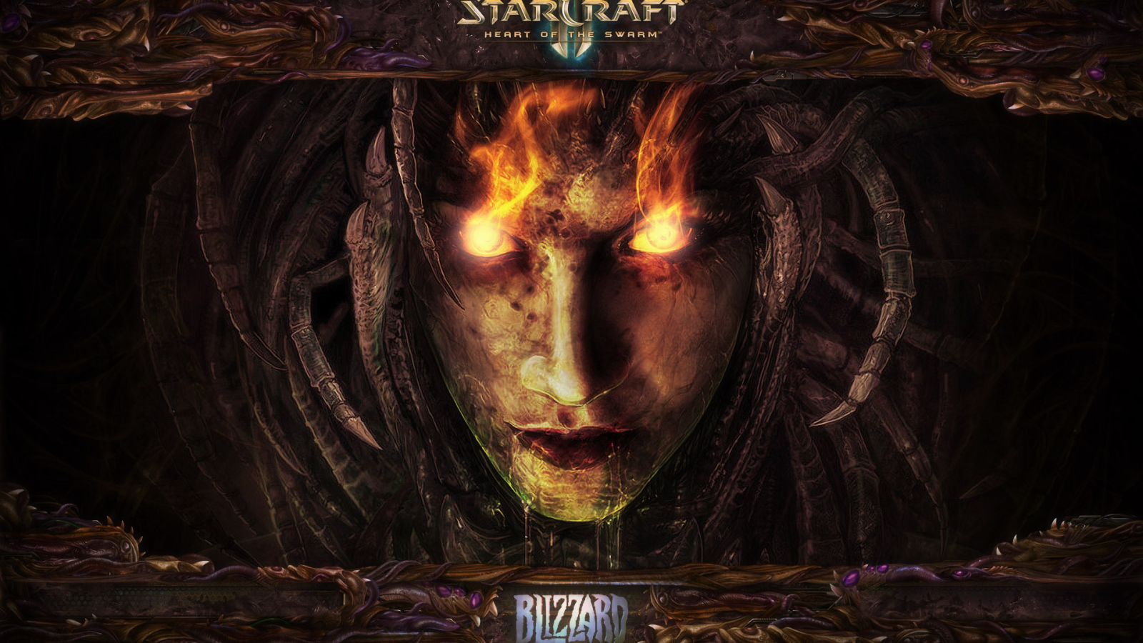 Starcraft 2: heart of the swarm
