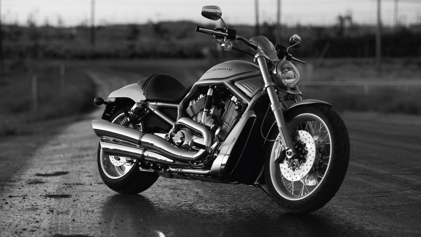Harley Davidson  V-Rod