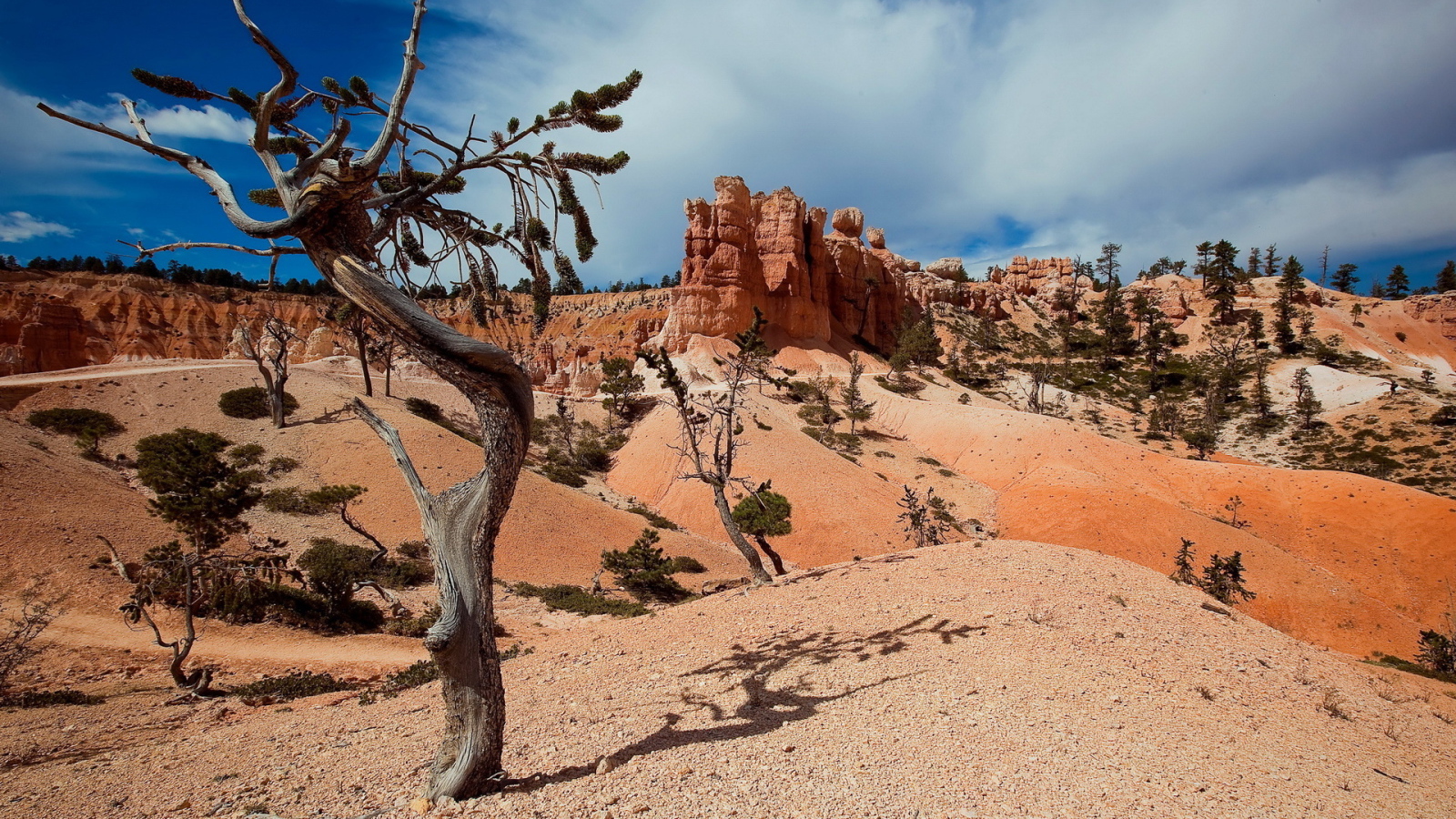 Пустынные холмы