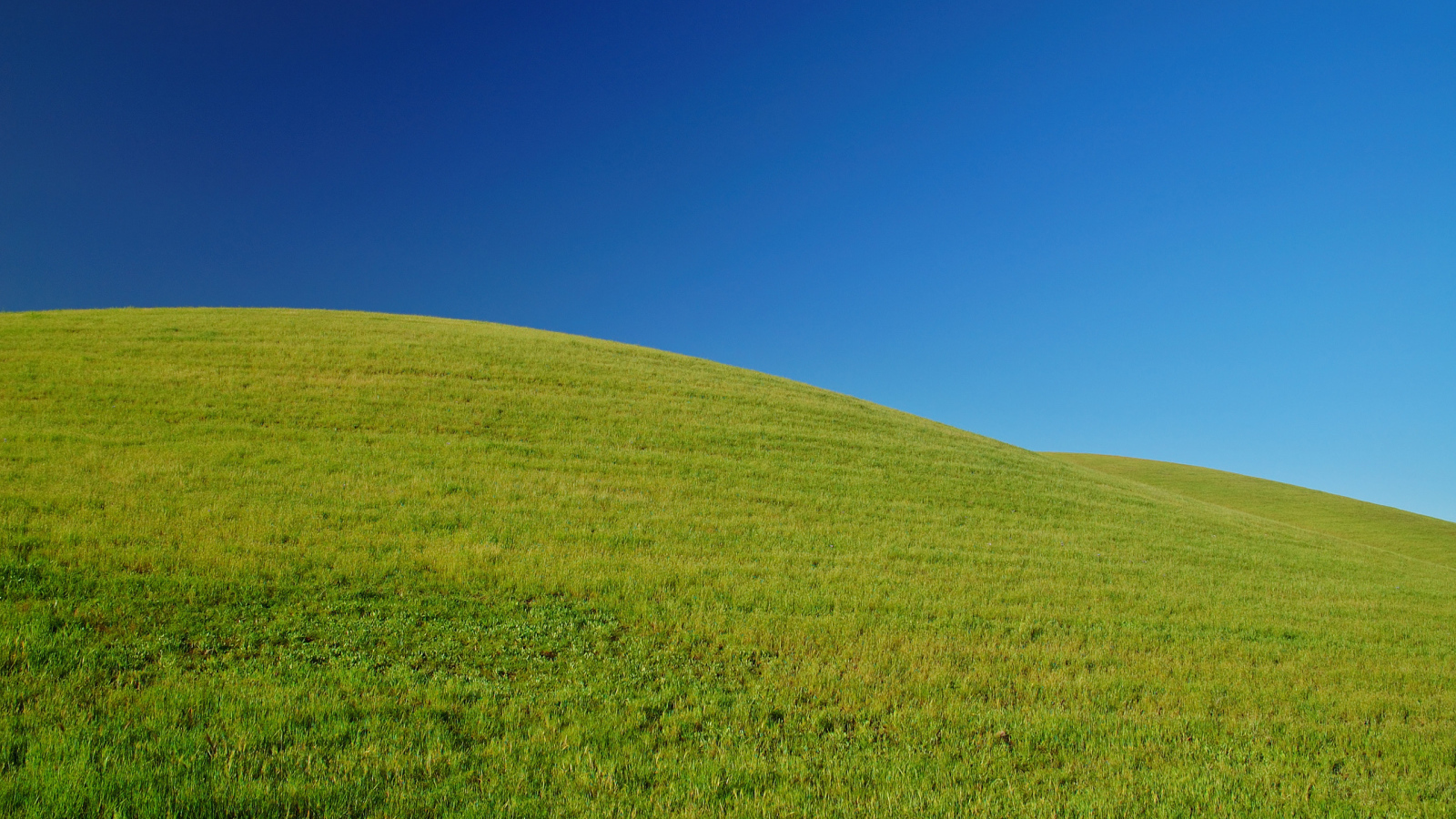 Свежая зелень