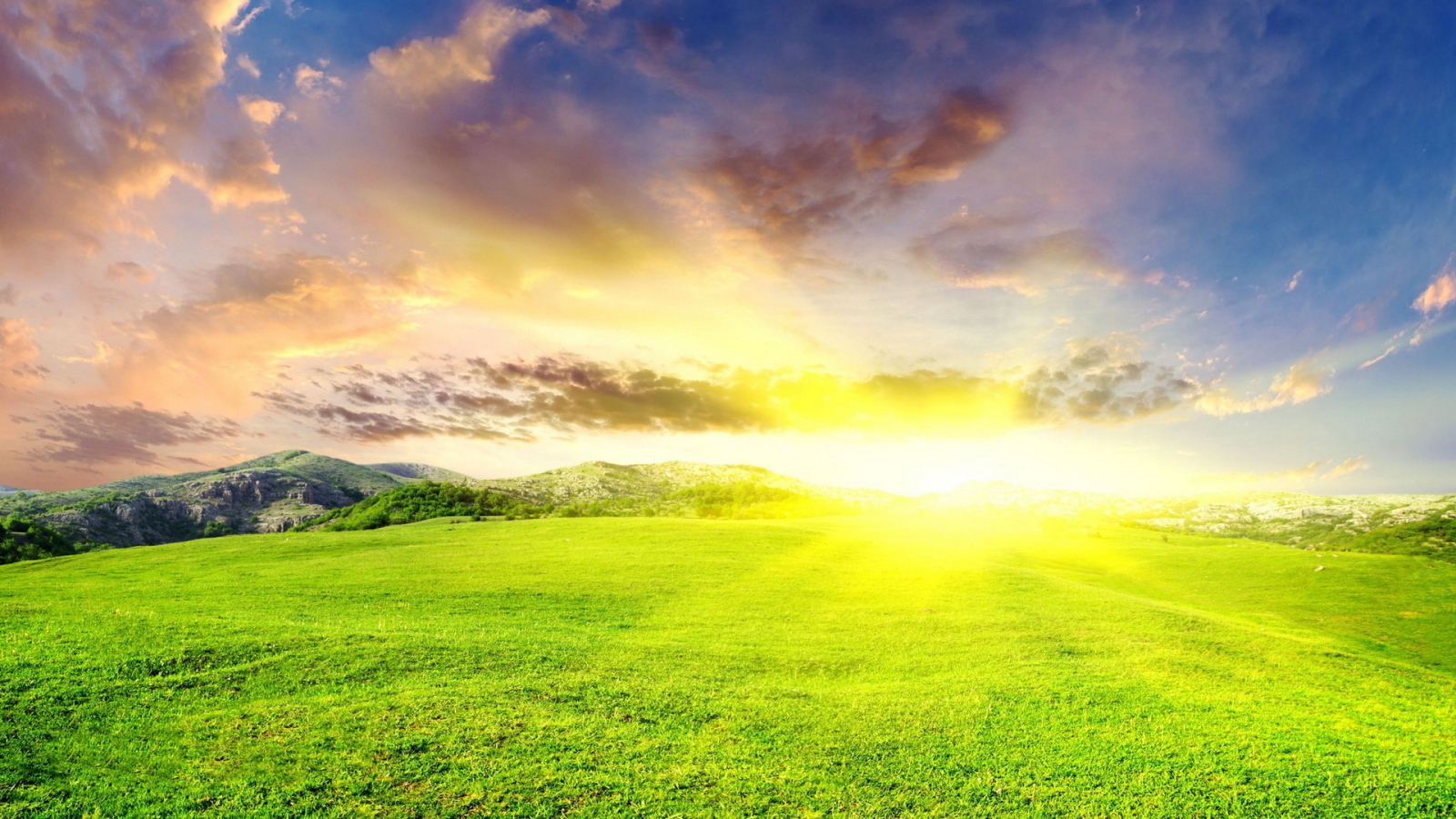 Зеленые луга