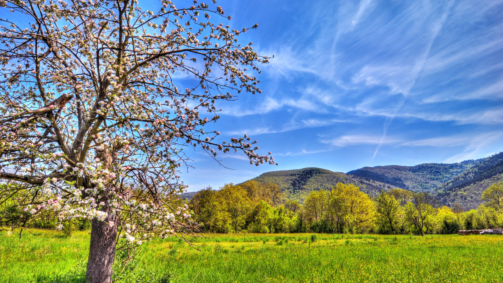 Весенний пейзаж