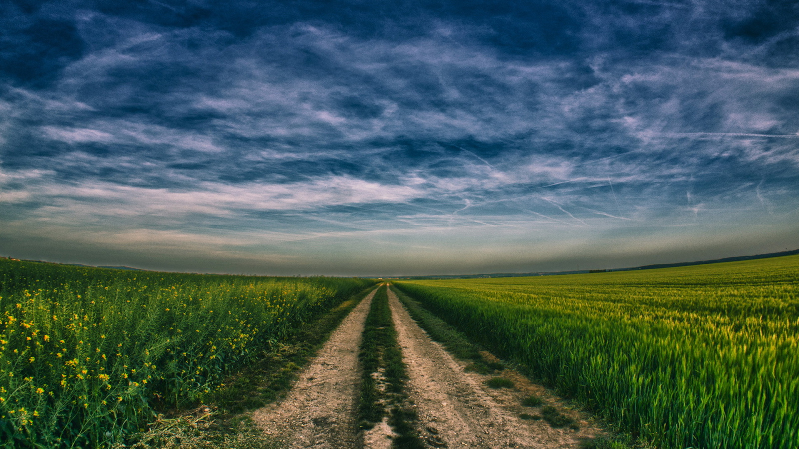 Дорога в поле