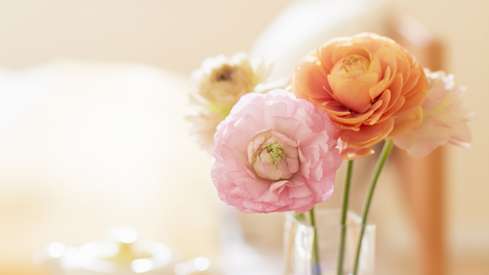 Нежные цветочки в вазе