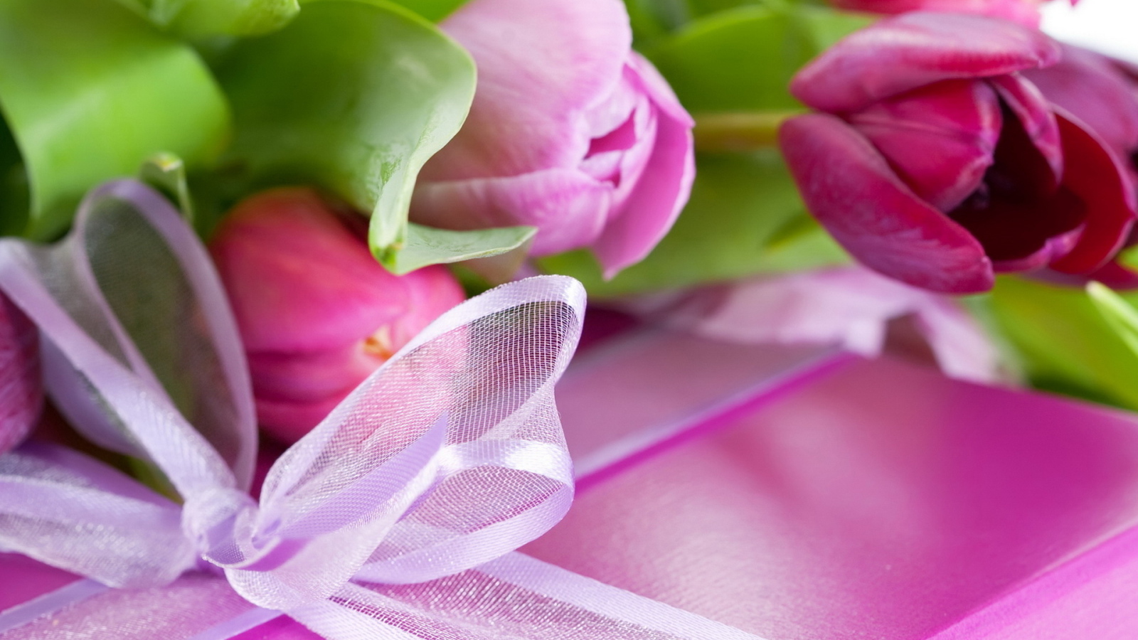 Тюльпаны и подарок