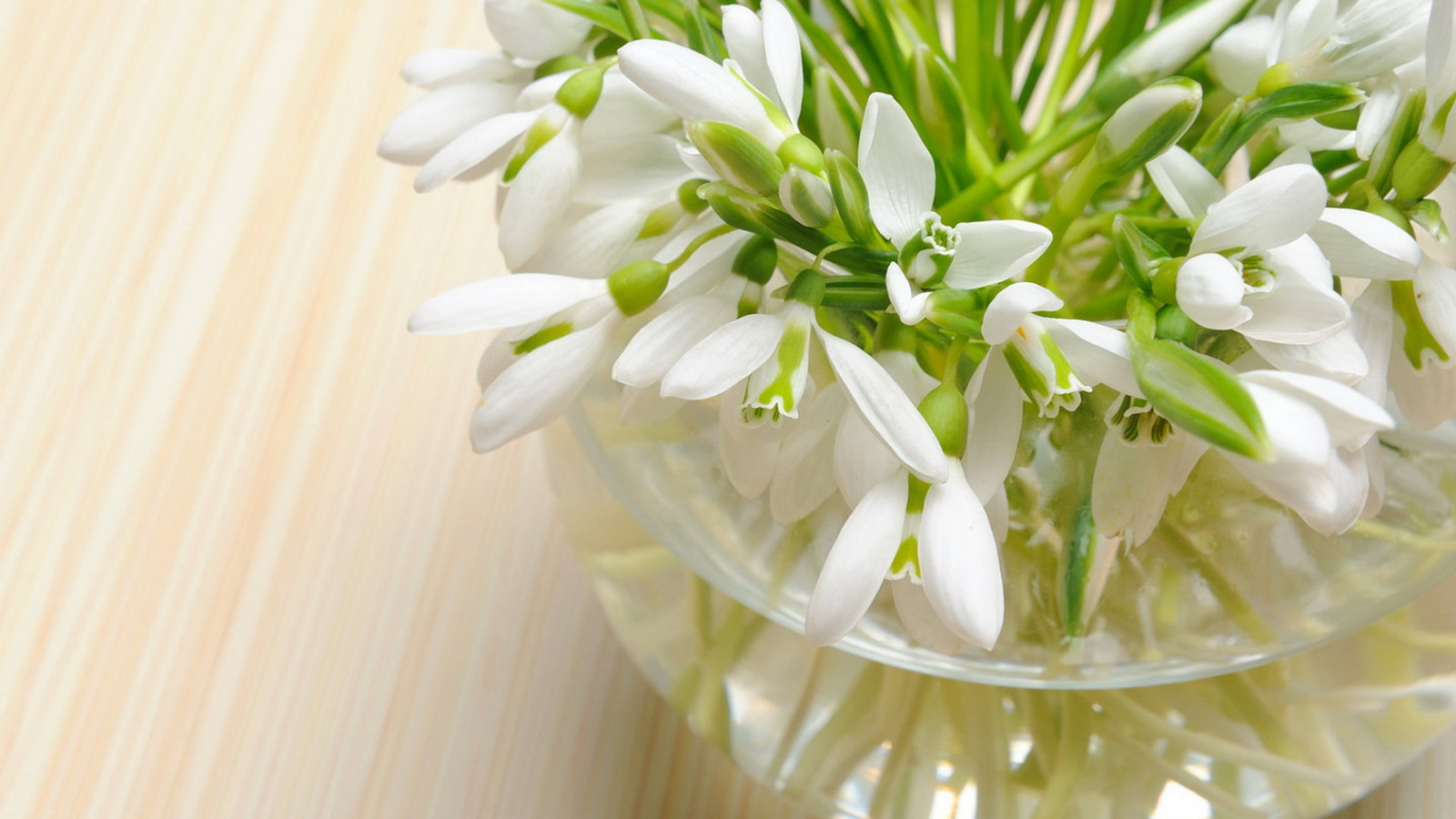 вазочка Подснежников