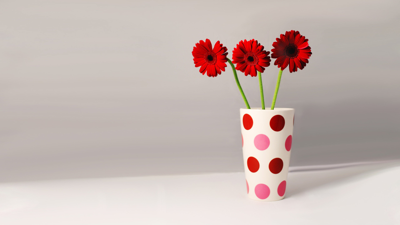 Три герберы