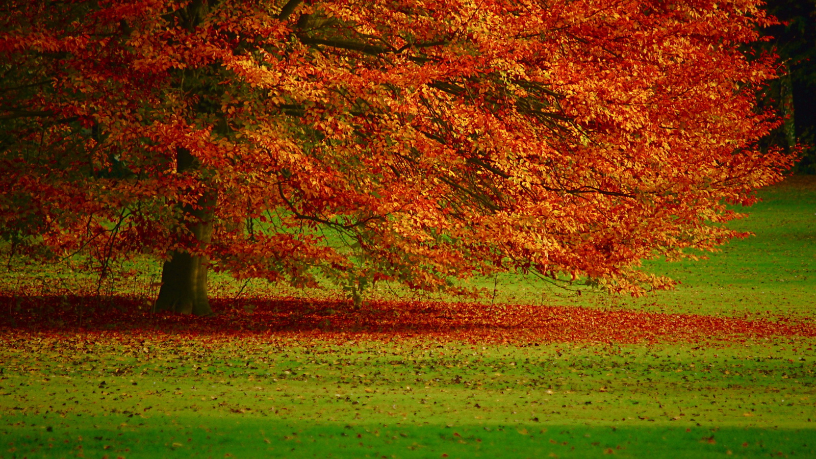 Осенняя листва