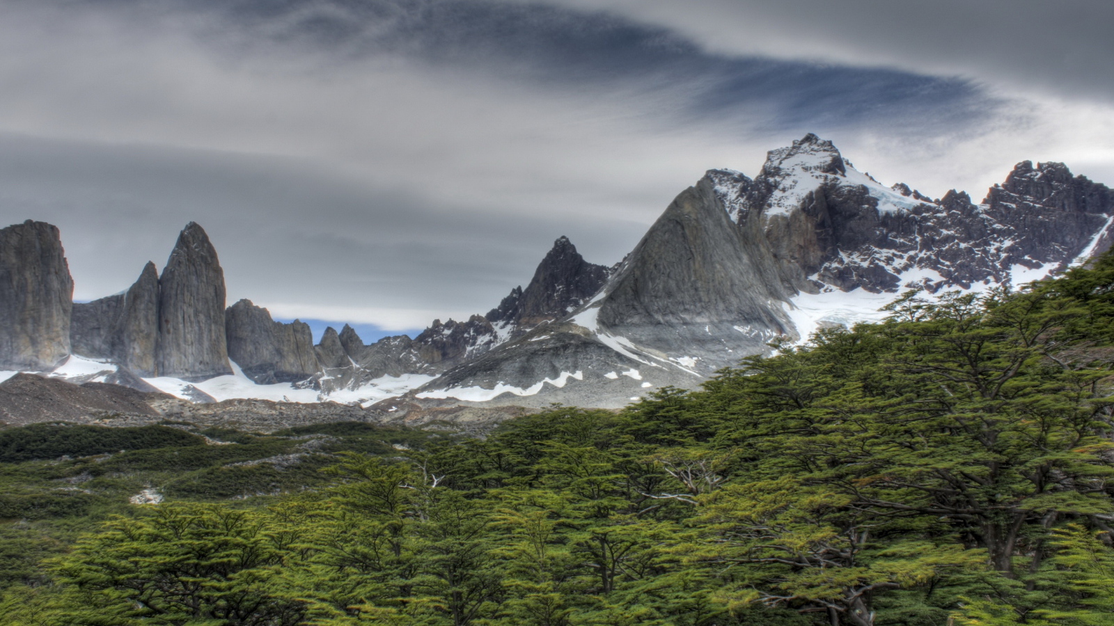 Скалы за лесом