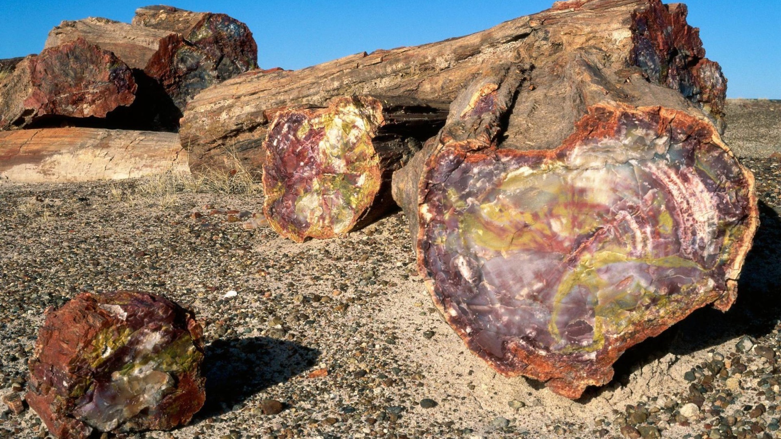 Древняя порода