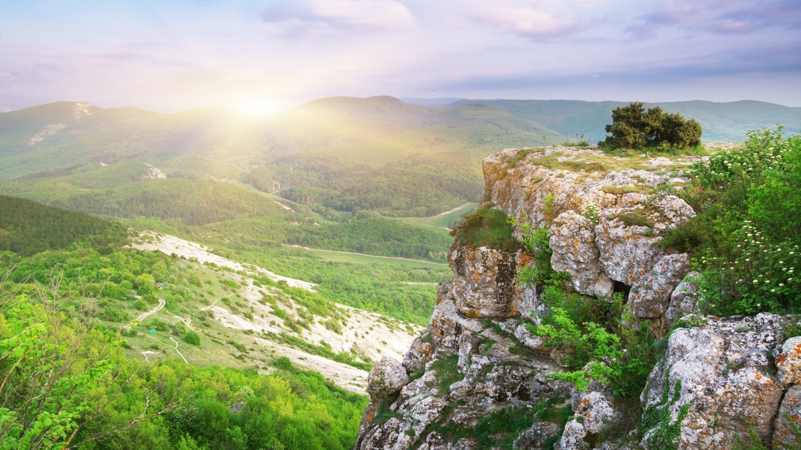 Лесная долина