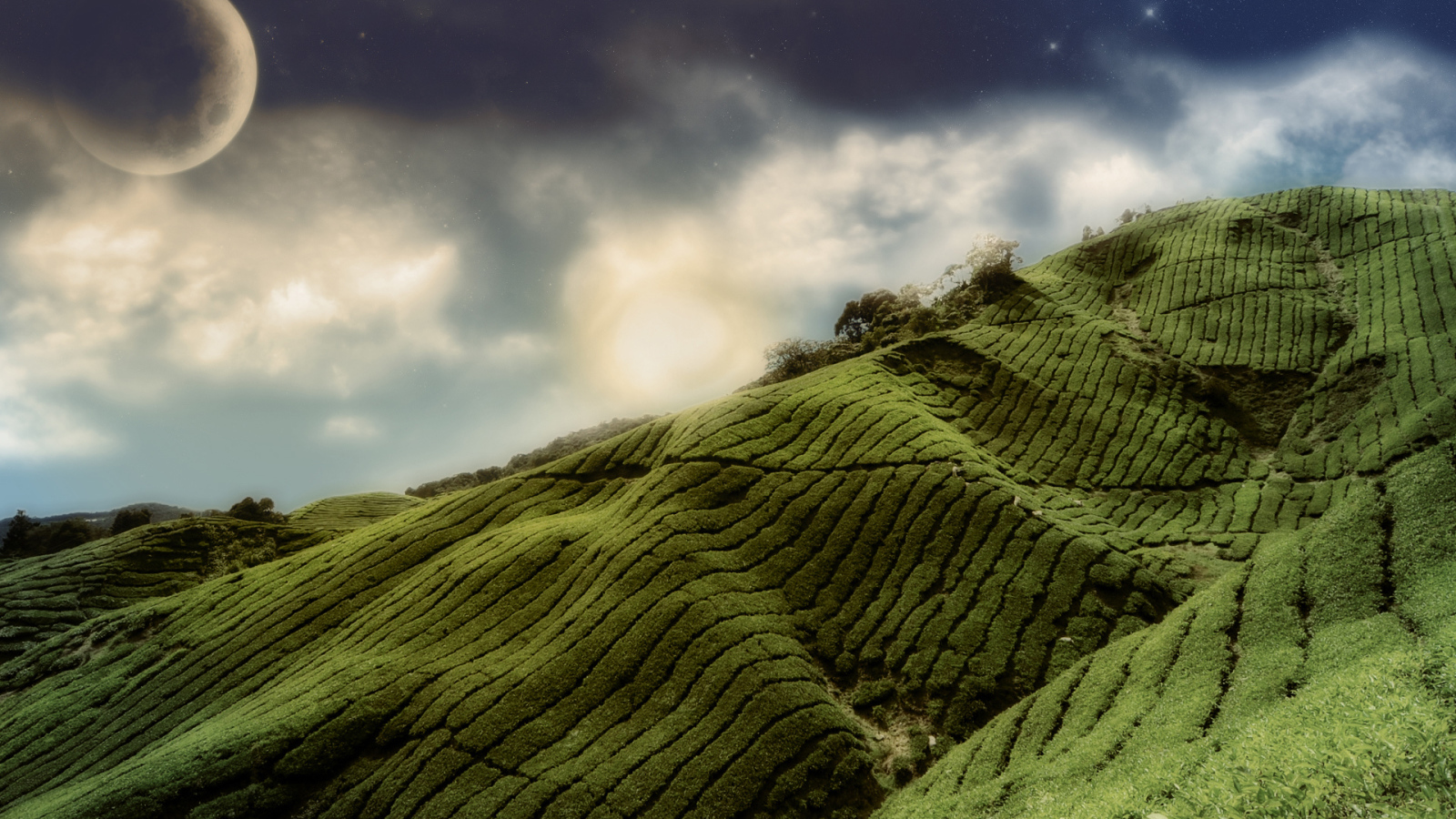 Зеленые холмы