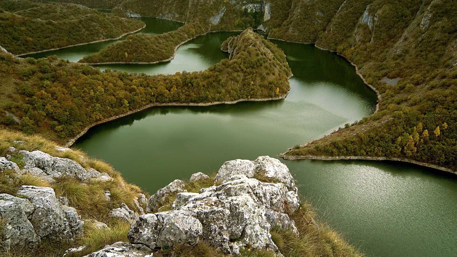 Извилистая река