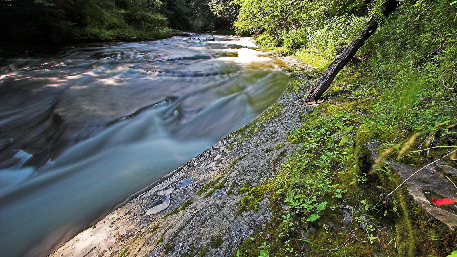Стремительная речка