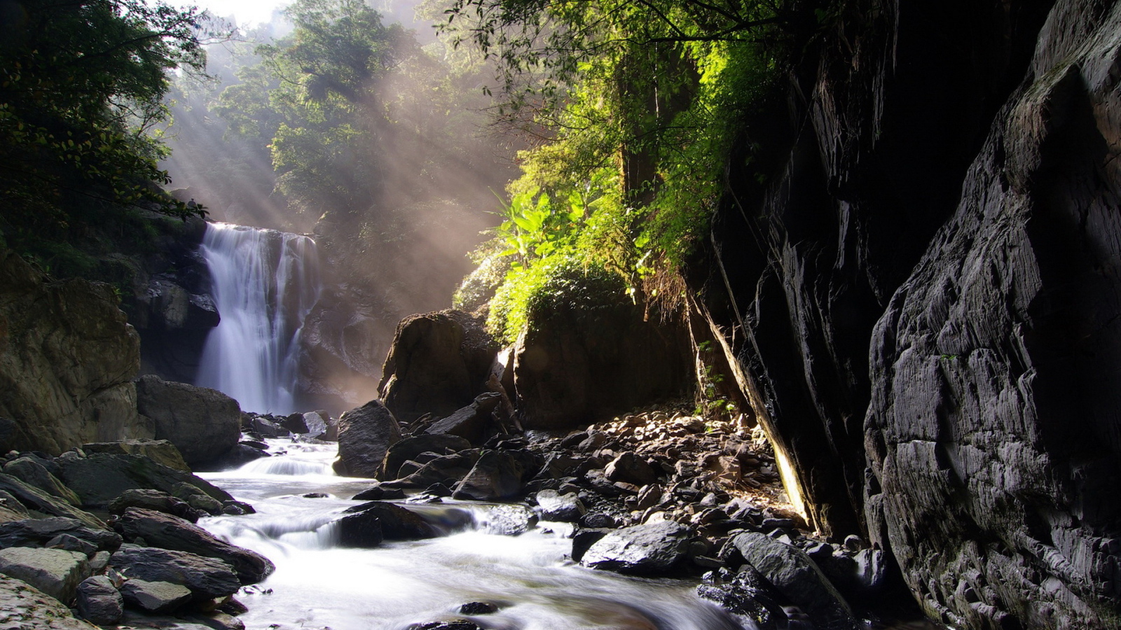 Ручей, лес, камни