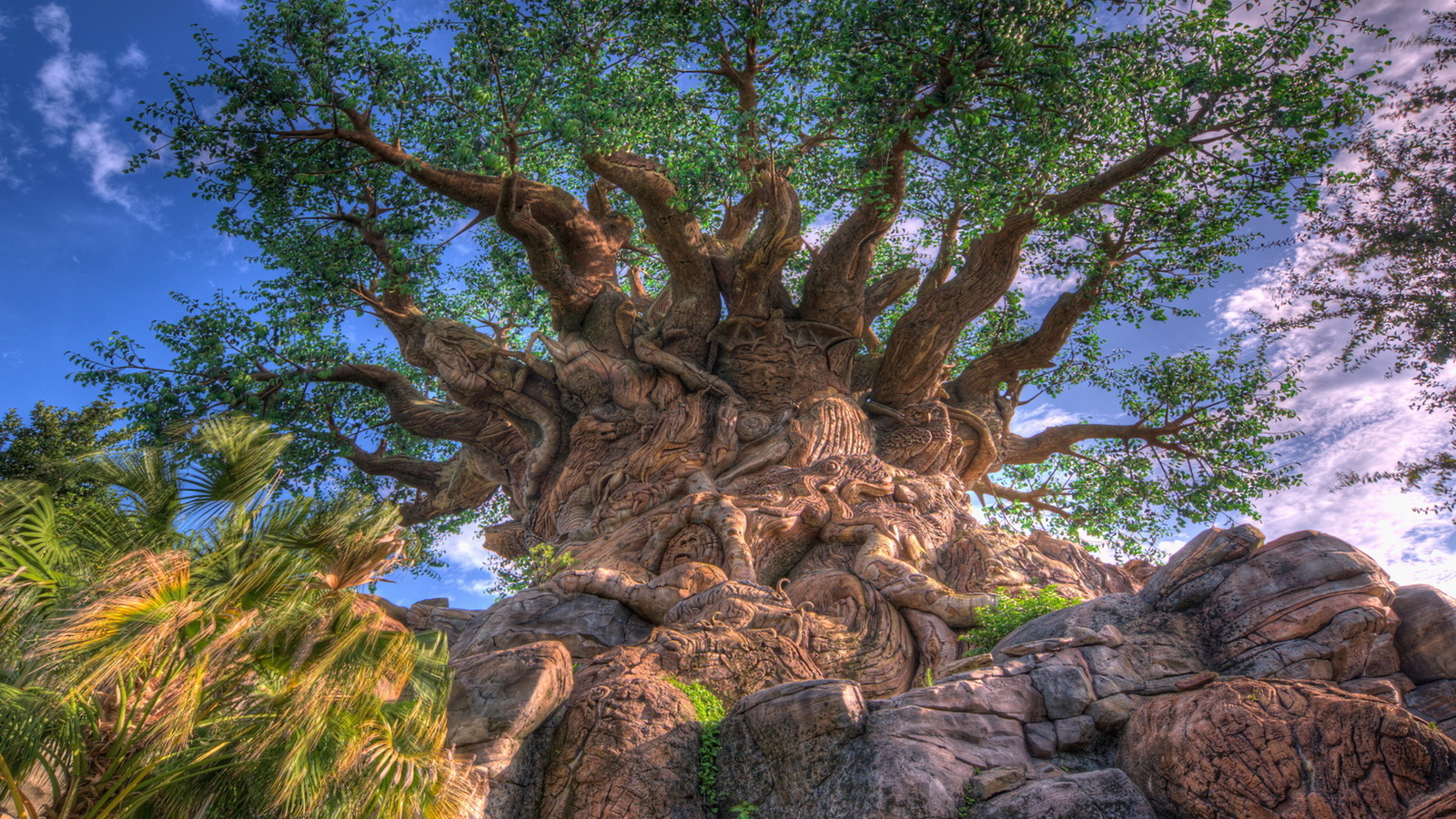 Дерево жизни