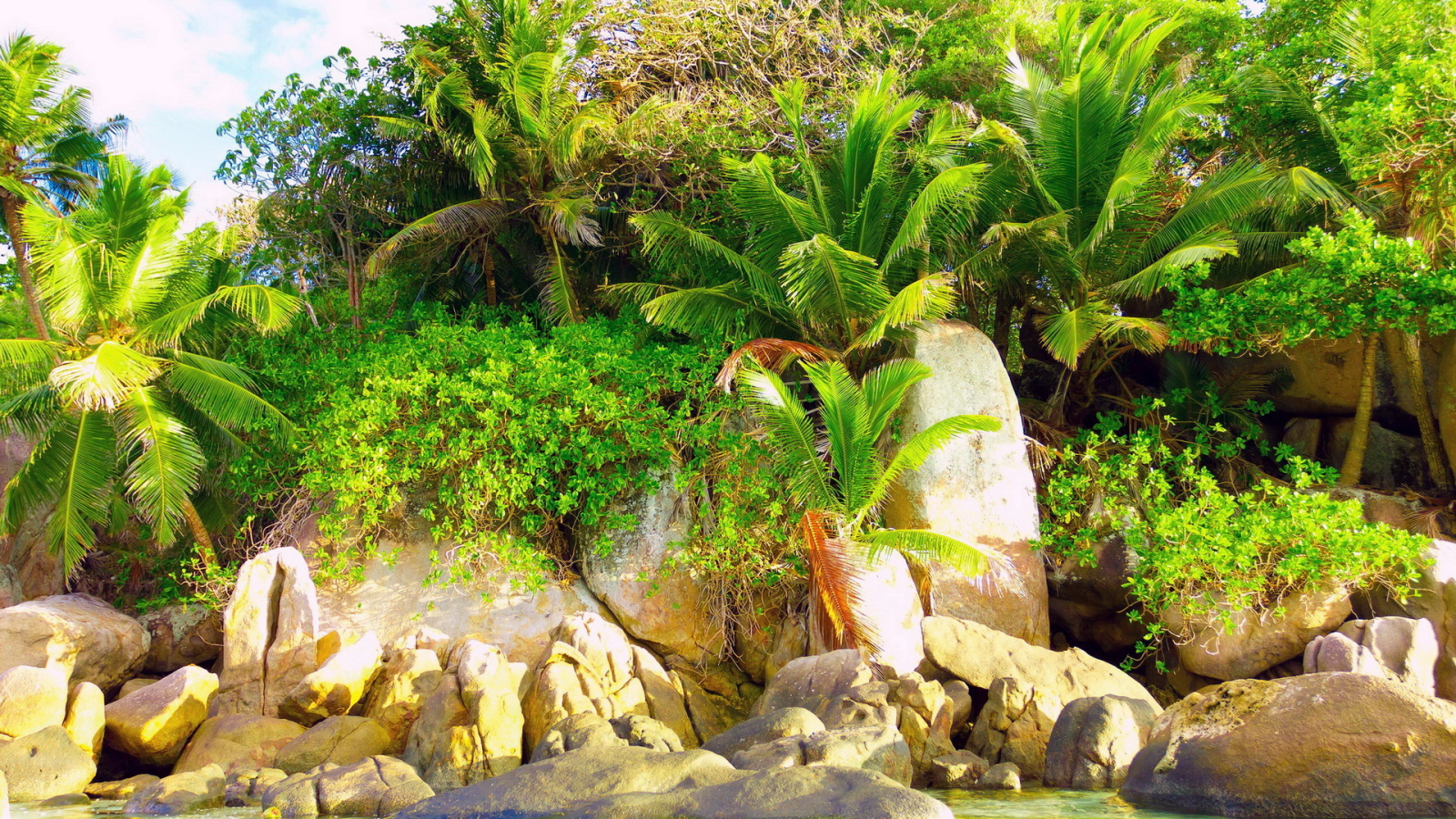 Природа тропиков