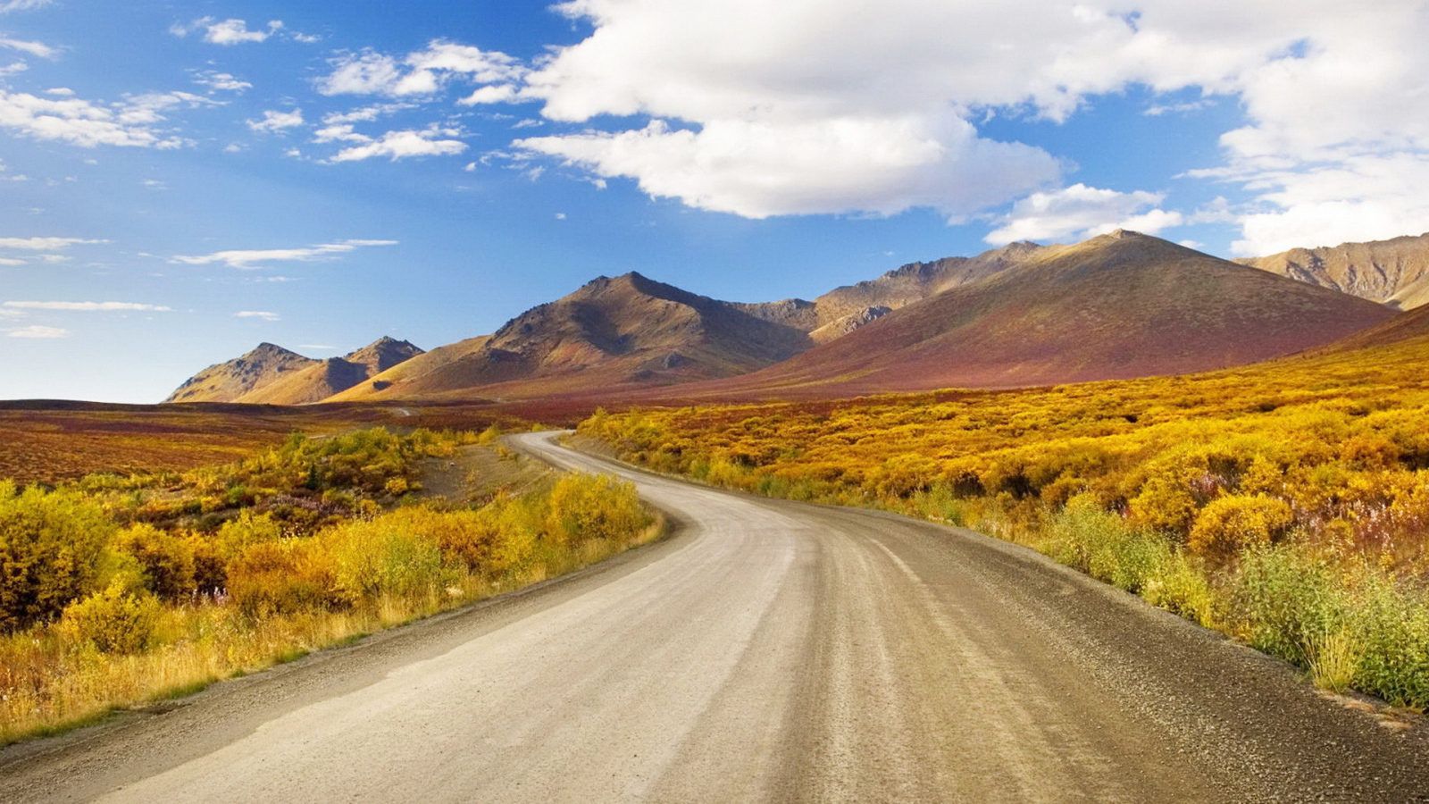 Извилистая дорога