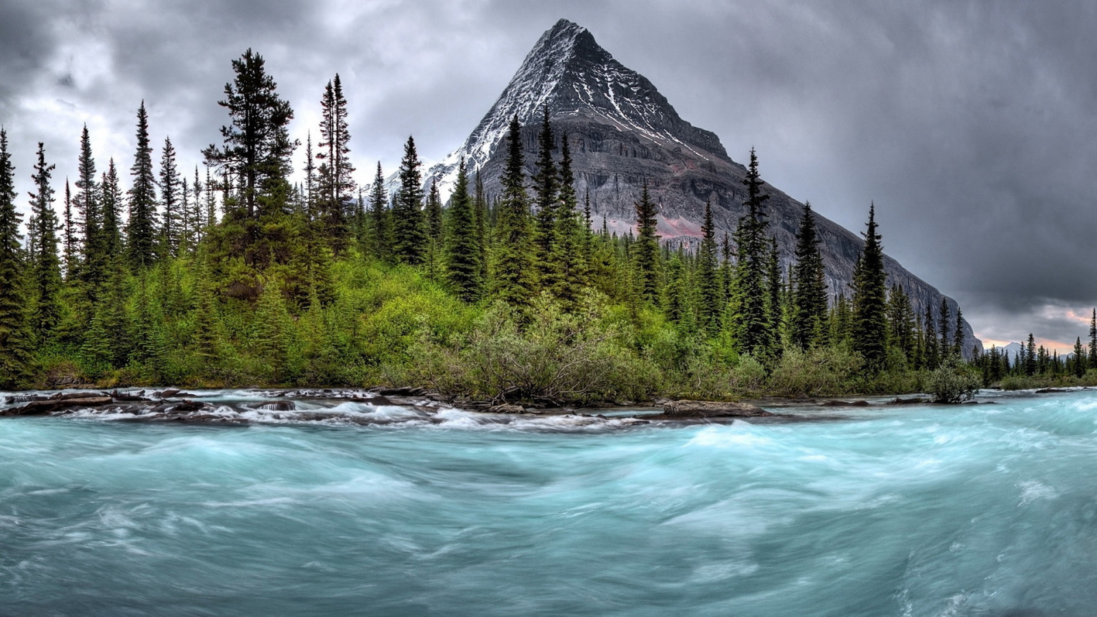 Бурная река