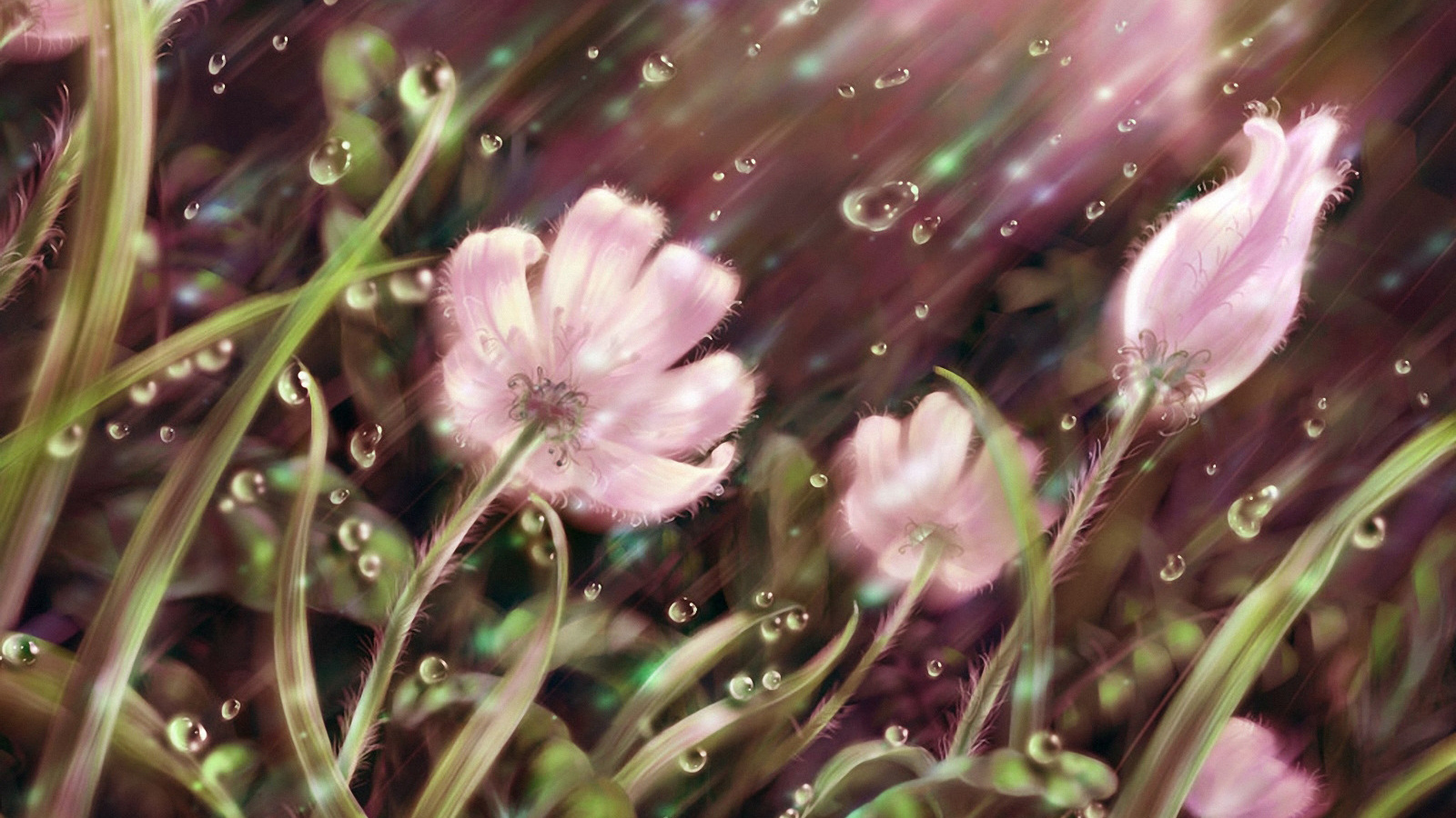 Летний дождь картинка