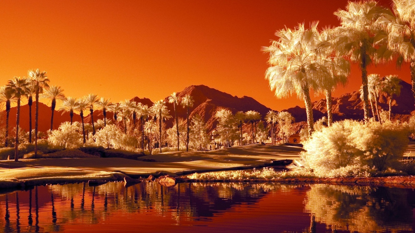 Последний закат