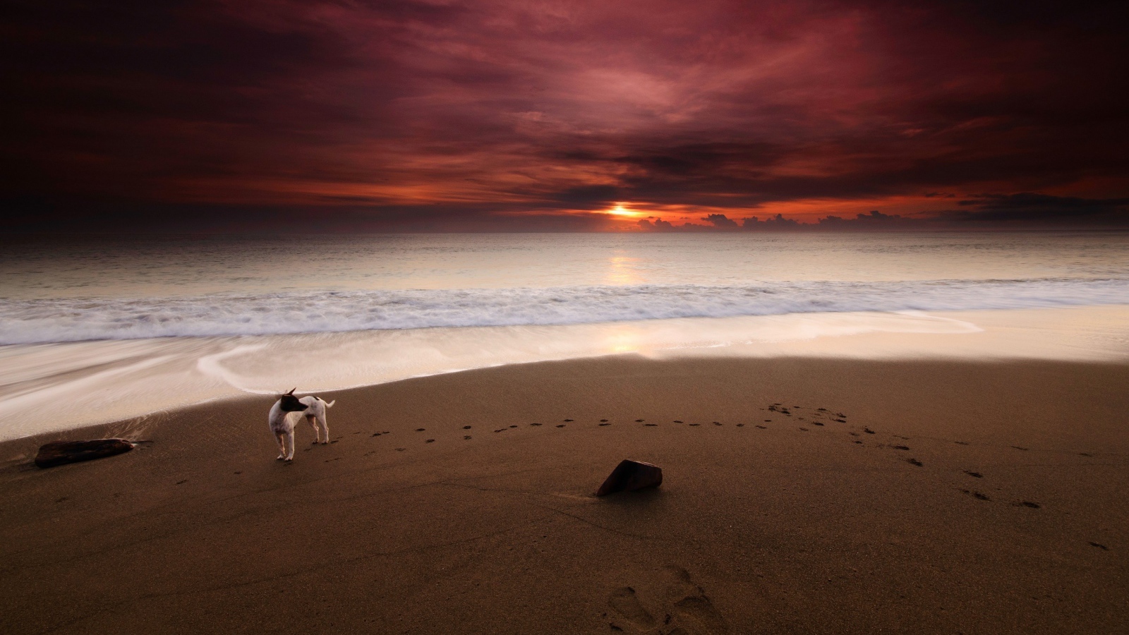 Фото Вечер на морском берегу