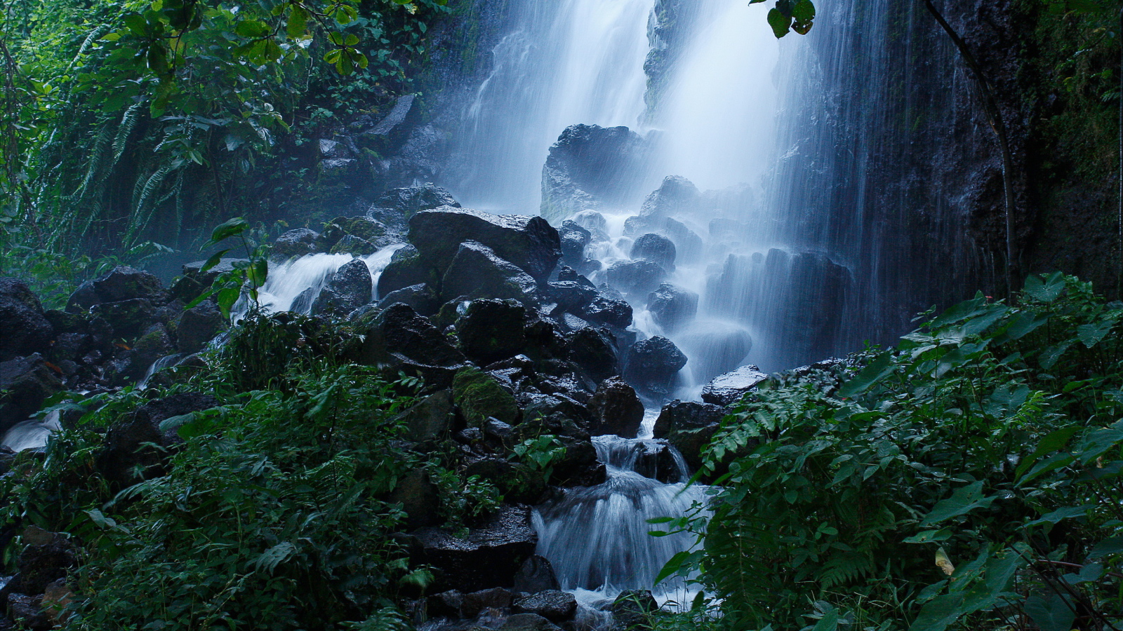 Лесной водопад