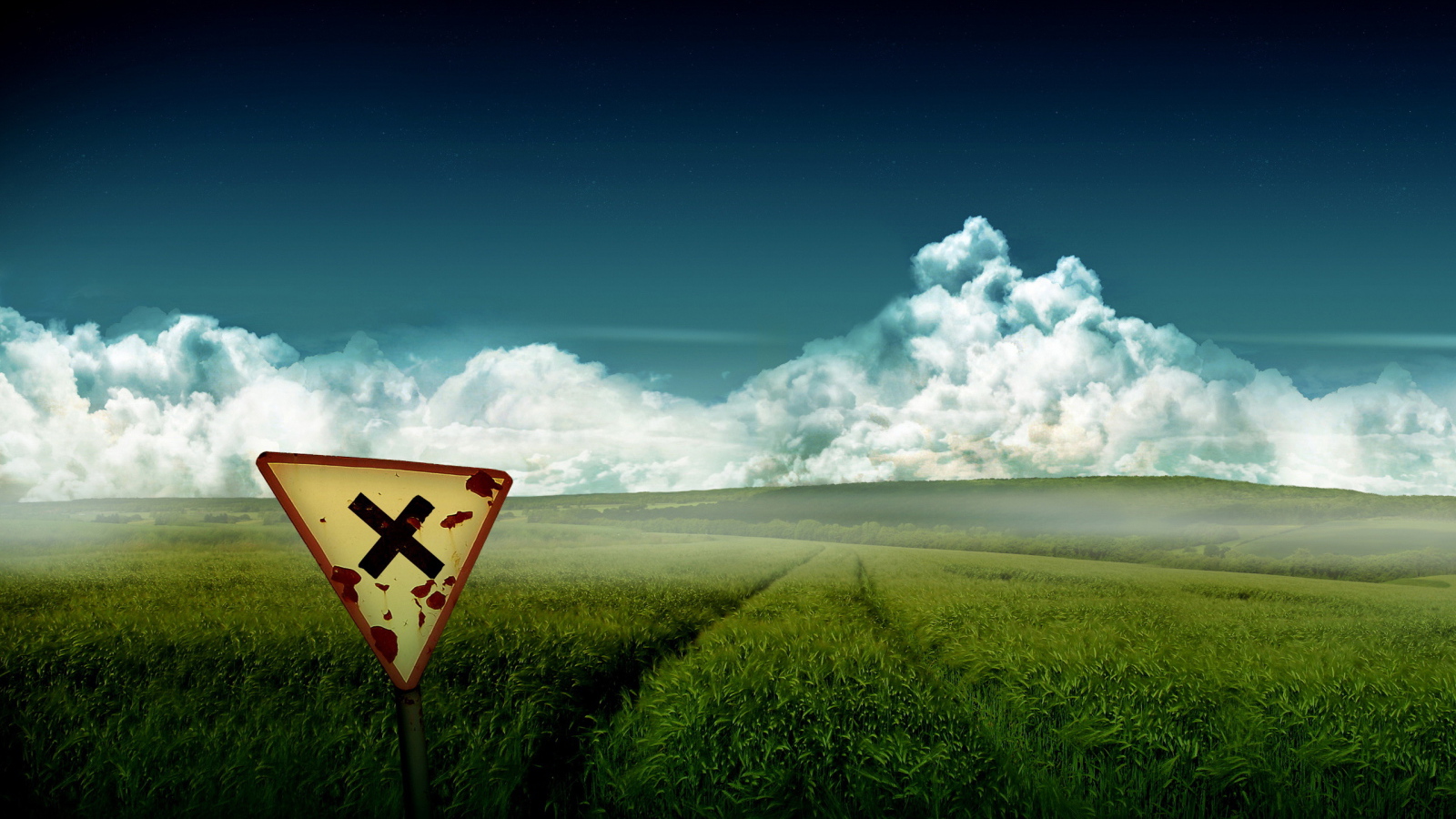 Зеленое поле