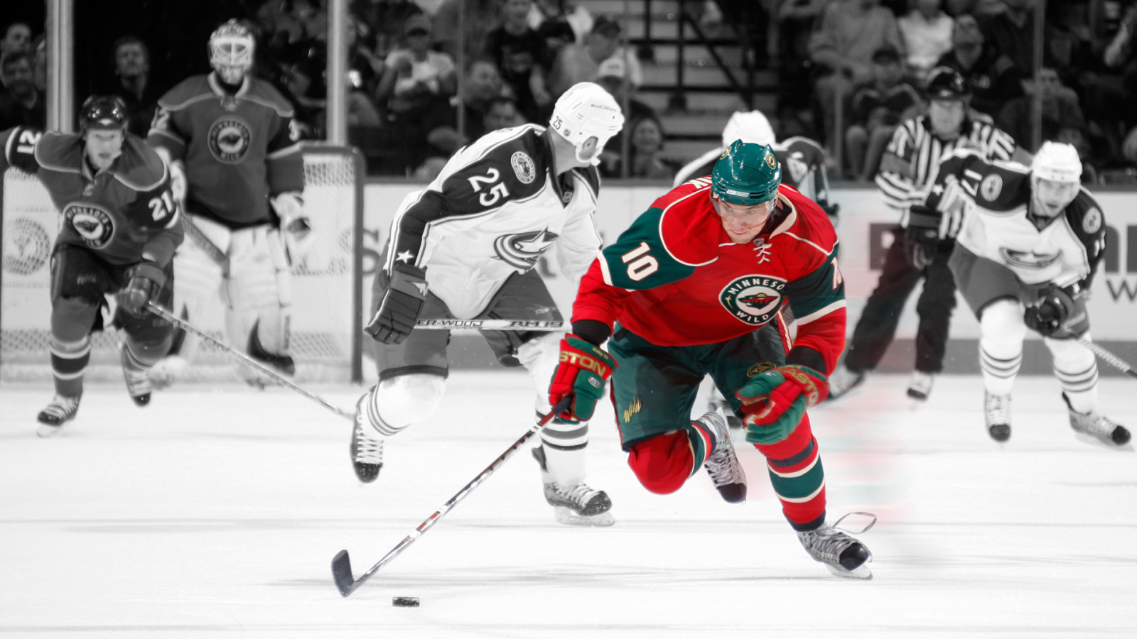 Minnesota Wild, NHL