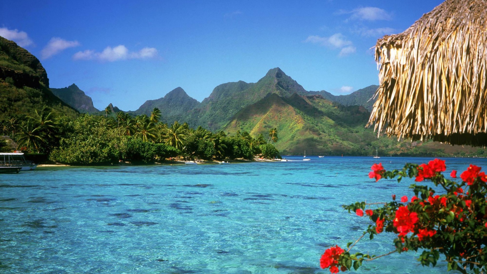 Путешествие на Багамы